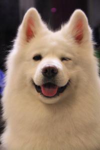 被大表姐的wink杀撩到了?学好表情管理你也是