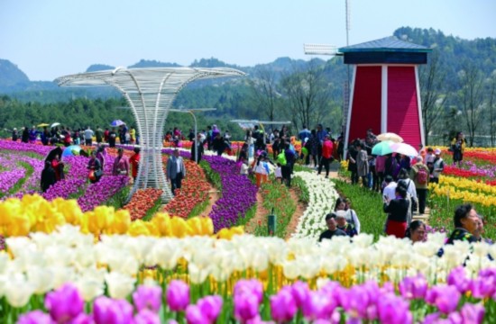 收入证明_贵阳市旅游收入
