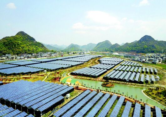 安龙光伏大棚能育苗能发电