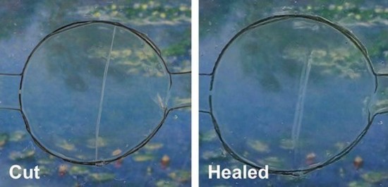 手机屏幕刮伤、摔碎后可自我修复?美科学家:我