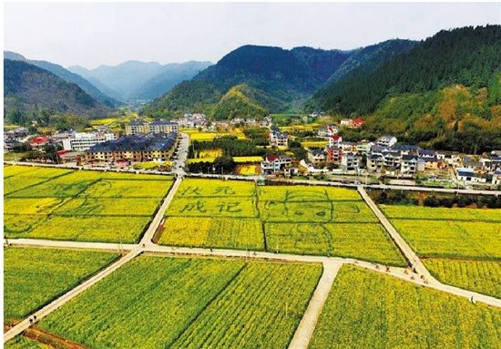 四月,去杭州富阳洞桥山乡节感受诗意