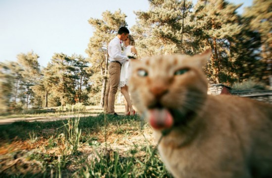 ǲǺúվBoredPandaǰܽһġ˲䣬ϲʮ㡣һ¡
