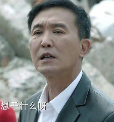 李达康头像gdp