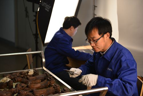 全国可移动文物摸清家底 建立文物身份证制度