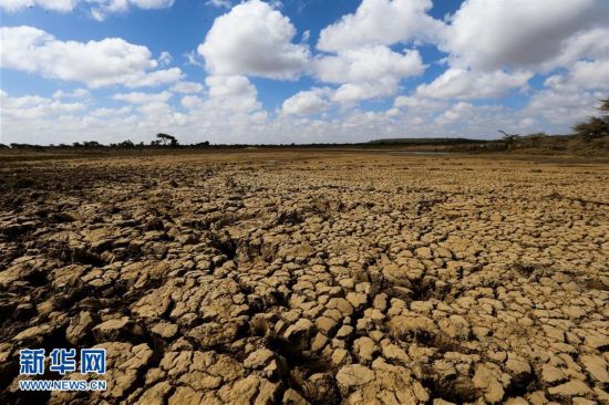 Kenya is among several countries in the horn of Africa, including Somalia and Ethiopia, experiencing a crippling drought. [Photo: Xinhua]