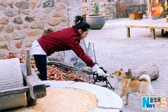黄磊何炅献歌忆有情岁月 谢娜刘宪华感恩成长