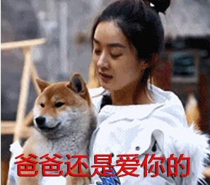 舞、磨玉米明明靠颜值偏偏要做表情[图表情包万人皆醉我独醒图片