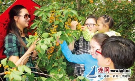 2012年连云港gdp_2016年中国城市GDP排名出炉连云港跻身百强(2)