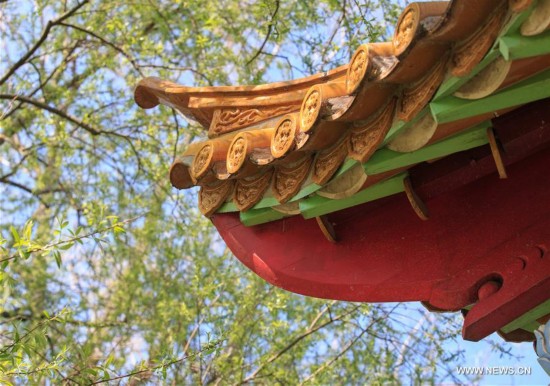 SWITZERLAND-ZURICH-CHINESE GARDEN