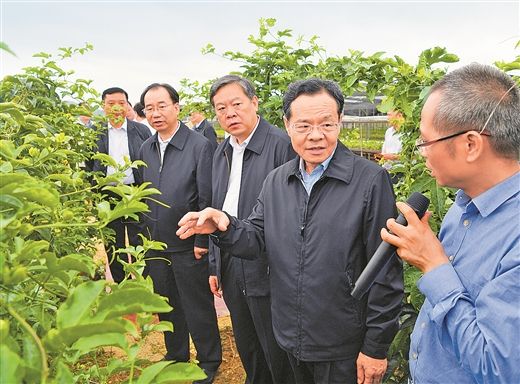 培育县域经济发展新优势为稳增长提供重要支撑   在位于龙圩区的梧州