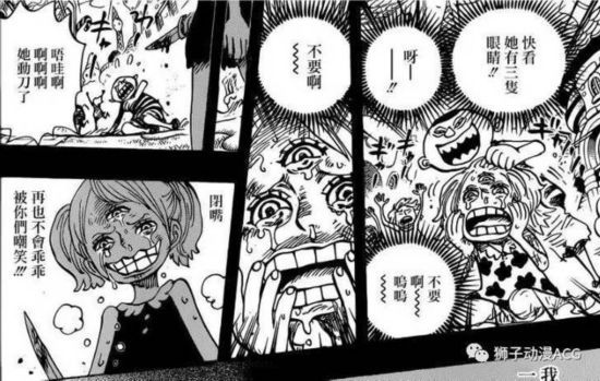 海贼王修女863话解析漫画照片被布鲁克毁掉山マズ漫画リマ图片