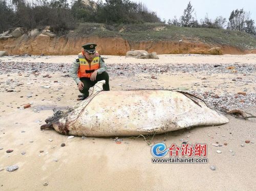 浯屿村人口_绯村剑心真人(3)