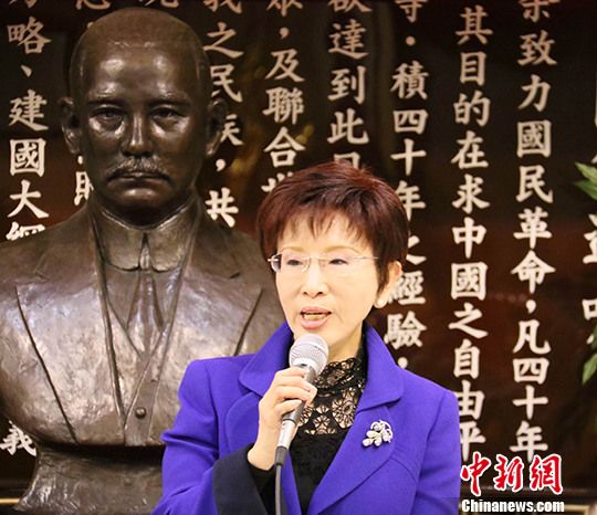 资料图:国民党主席洪秀柱。 <a target='_blank' data-cke-saved-href='http://www.chinanews.com/' href='http://www.chinanews.com/'><p align=