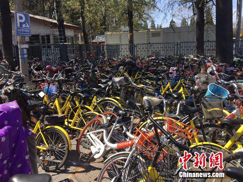 Shared bikes on Chinese streets. [File Photo: Chinanews.com]