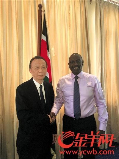 南方集团董事长_南方蟑螂图片