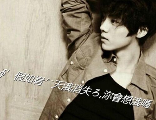 明星微博头像竟藏了这么多秘密,鹿?杨幂真的是