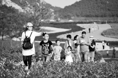 亲子游催火遛娃经济 带队老师月薪万元