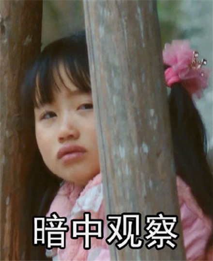 《变形记》最惨男主角诞生 陈新颖被虐哭 丽姐