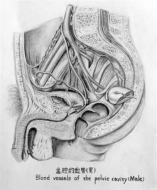 医科大学女大学生的课堂笔记 线条清晰堪比艺