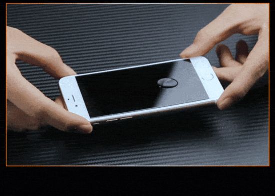 3072285419913070620.jpg