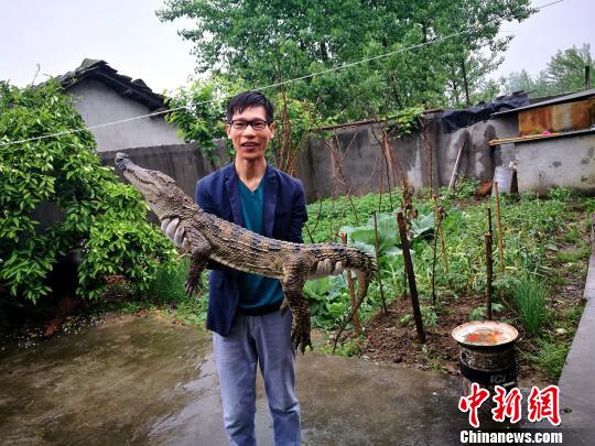 湖北30岁小伙养殖鳄鱼带动乡亲共同致富