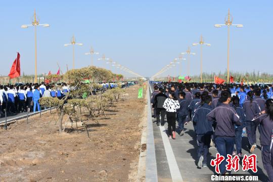 人口老龄化_甘肃省五连乡人口