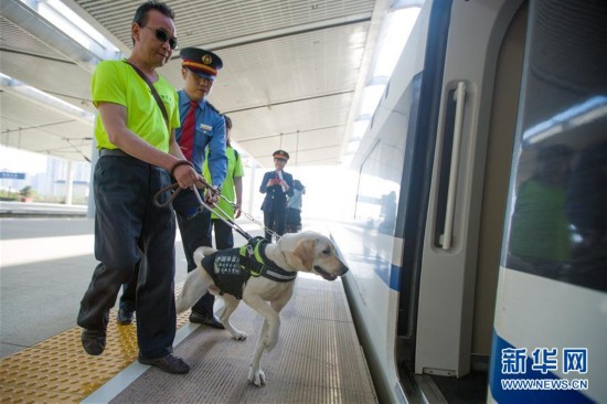 西安北站导盲犬登高铁助视障旅客假日出行