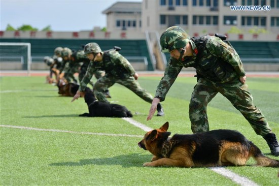 #CHINA-CHONGQING-POLICE DOG (CN)