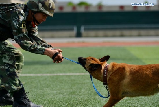 #CHINA-CHONGQING-POLICE DOG (CN)