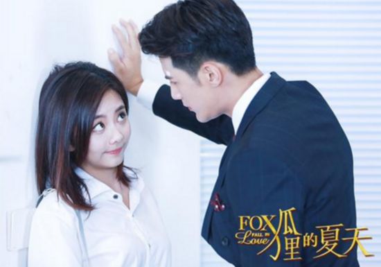 《狐狸的夏天》剧情介绍 第二季什么时候播出