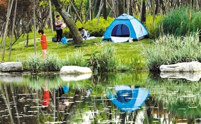 天府新区中央公园:繁花似锦 绿树成荫(图)--四川频道--人民网