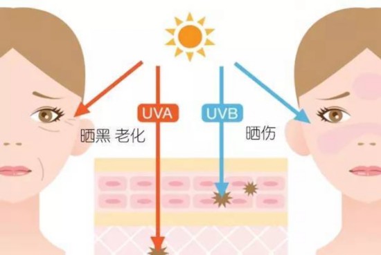 不同肤质怎么选防晒？最好用的防晒都在这里了