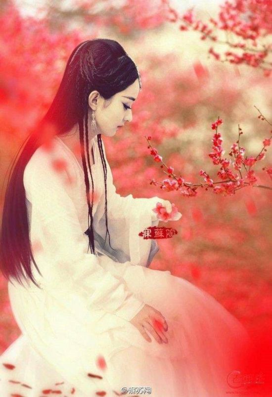 新七仙女最强阵容曝光,郑爽赵丽颖杨幂刘诗诗