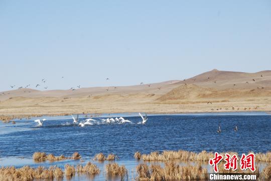 世界遺產元上都遺址的“漲粉”記
