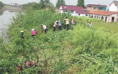 南通海安多地推进环境整治 建设美丽乡村