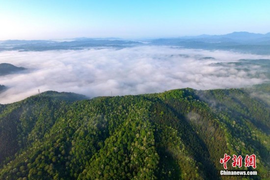 江西钤冈岭云海景观若仙境