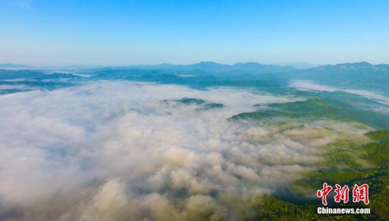 江西钤冈岭云海景观若仙境