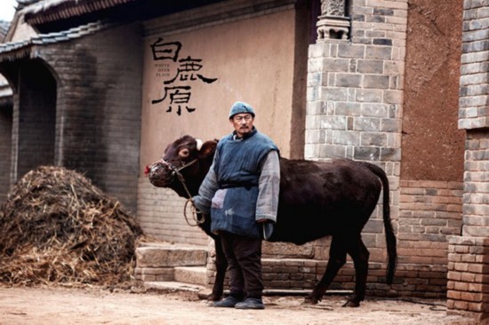 电视剧《白鹿原》李洪涛饰鹿三