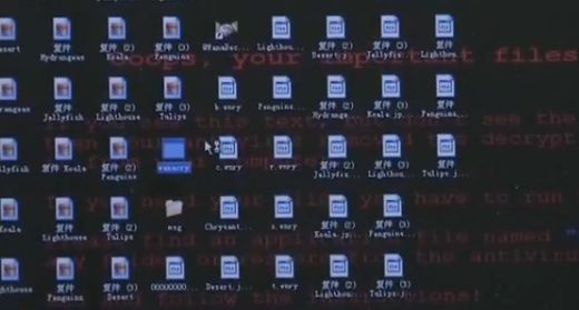 2016最具有危害性病毒软件_决定病毒具有感染性_office2010激活工具有病毒