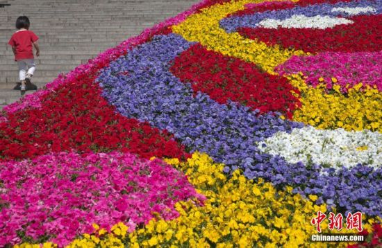 北京天坛公园 一带一路 主题花坛引人关注 中国日报网