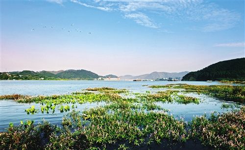 南寧加快基礎設施大會戰項目建設 積極融入西江經濟帶