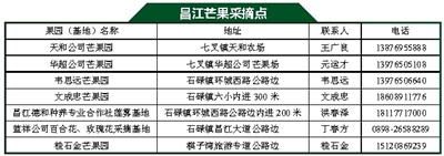 昌江：芒果之乡美名扬