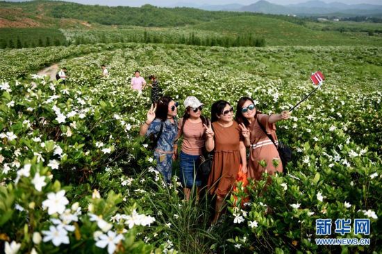 “赏花经济”成为江西绿色产业又一新的经济增长点
