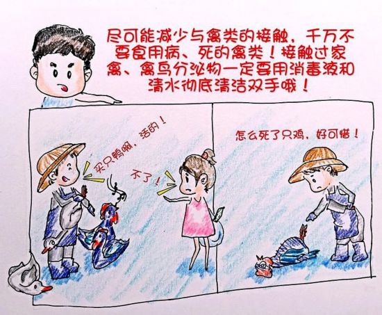 H7N9不可怕!中国90后漫画美女用美女教你预防自贡十名护士前图片