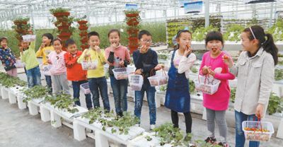 西瓜空中养 收益噌噌涨(聚焦供给侧改革·我的