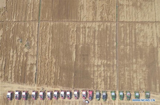 CHINA-HEBEI-WHEAT HARVEST (CN)