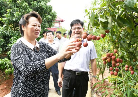 王革冰深入浦北灵山调研扶贫工作 14日,钦州市委书记王革冰深入浦北