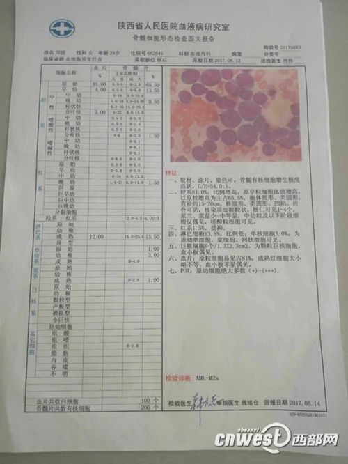 怀孕16周孕妇突患白血病 血源紧张急需血小板