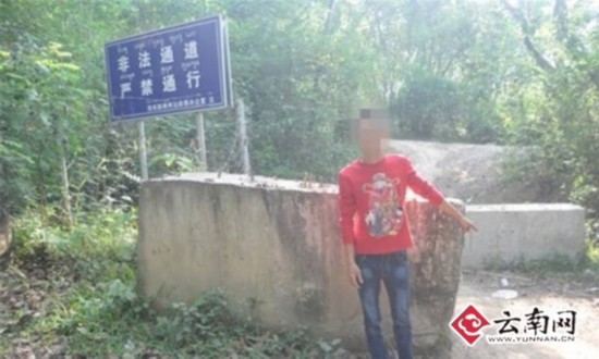 勐海目前人口_勐海茶区茶山图片(3)