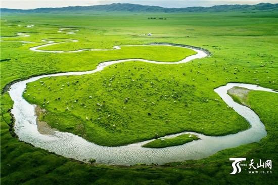 鸟瞰六月的新疆塔城塔尔巴哈台山草原湿地壮观景色（图）